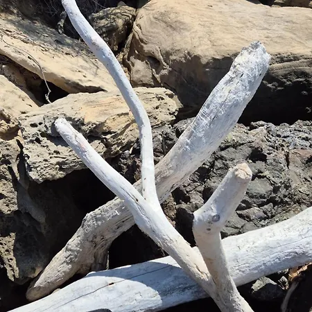 Olivia Casa In Collina Vista Mare * 卡斯特尔萨多