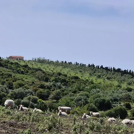 Olivia Casa In Collina Vista Mare 度假居