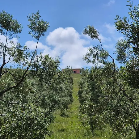 Olivia Casa In Collina Vista Mare 度假居 卡斯特尔萨多