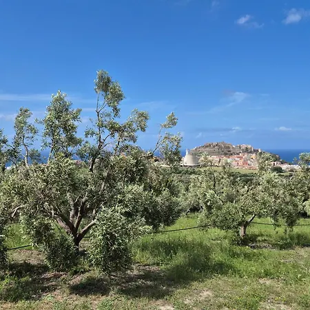 Casa vacanze Olivia Casa In Collina Vista Mare