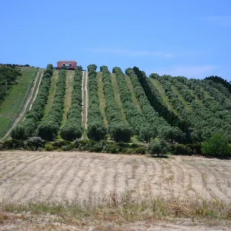 Casa In Collina Vista Mare Holiday home Castelsardo