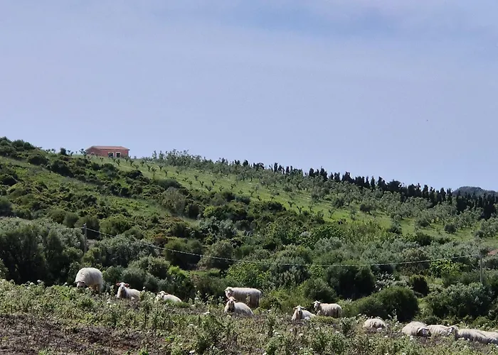 Olivia Casa In Collina Vista Mare Nyaraló