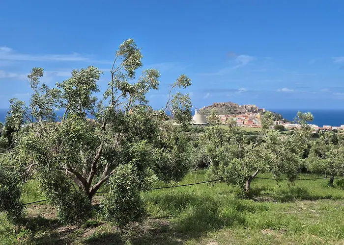 Nyaraló Olivia Casa In Collina Vista Mare *