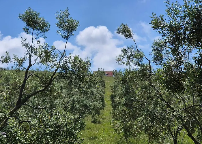 Olivia Casa In Collina Vista Mare Nyaraló Castelsardo