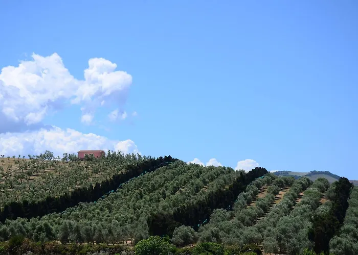 Olivia Casa In Collina Vista Mare Castelsardo
