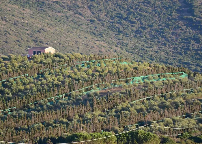 Olivia Casa In Collina Vista Mare Castelsardo